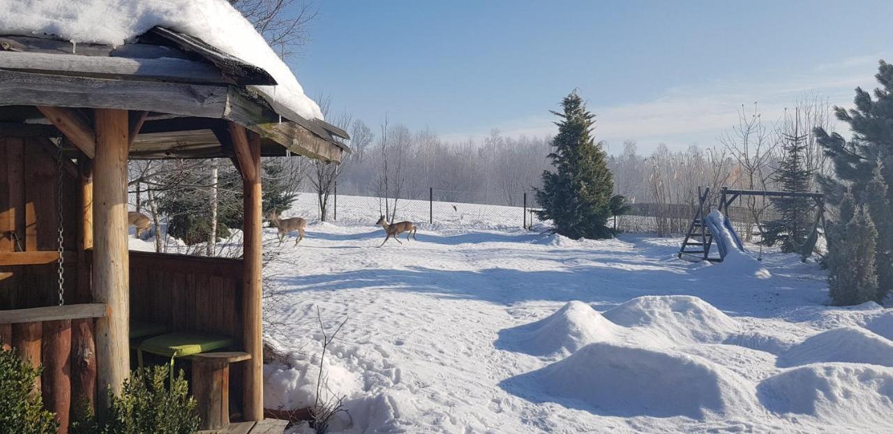 Dom Grabowa Z Sauna I Podgrzewanym Basenem Gilowice  Екстериор снимка